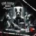 STAN SILVER AND THE BRAVE PUPPIES: ALL IN