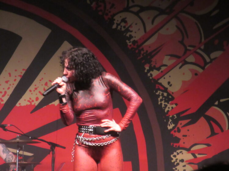 Live-Review! The Baboon Show 5.3. München, Werk@Backstage