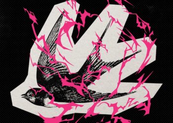 DRUNKEN SWALLOWS: ECHOS ALTER TAGE