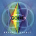 GONG: BRIGHT SPIRIT