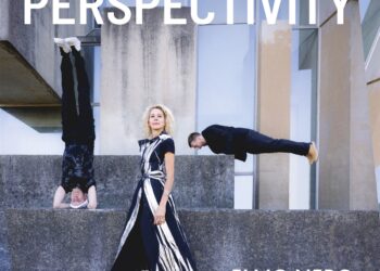 ELMO NERO: PERSPECTIVITY