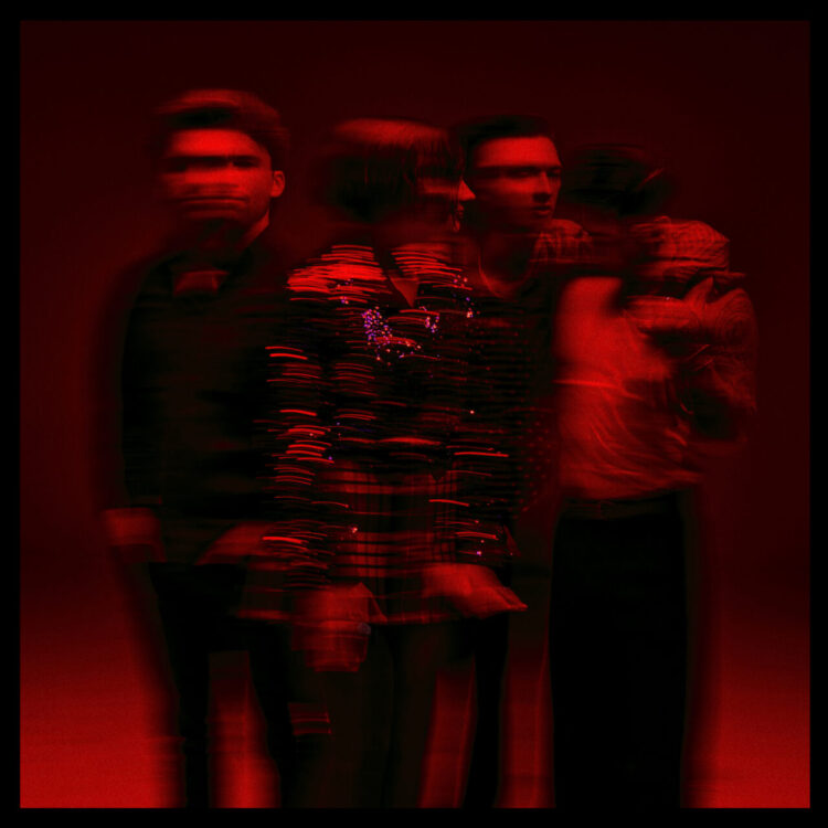 MARMOZETS: CO.WAR.DICE