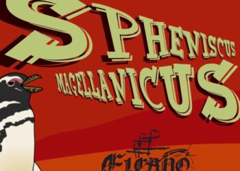 ELCANO: SPHENISCUS MAGELLANICUS