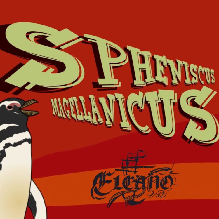 ELCANO: SPHENISCUS MAGELLANICUS