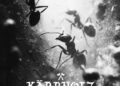 KÄRBHOLZ: STURM ZIEH AUF
