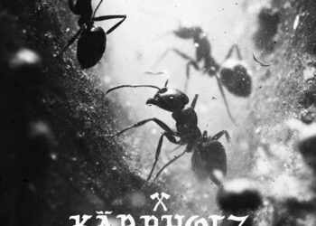 KÄRBHOLZ: STURM ZIEH AUF
