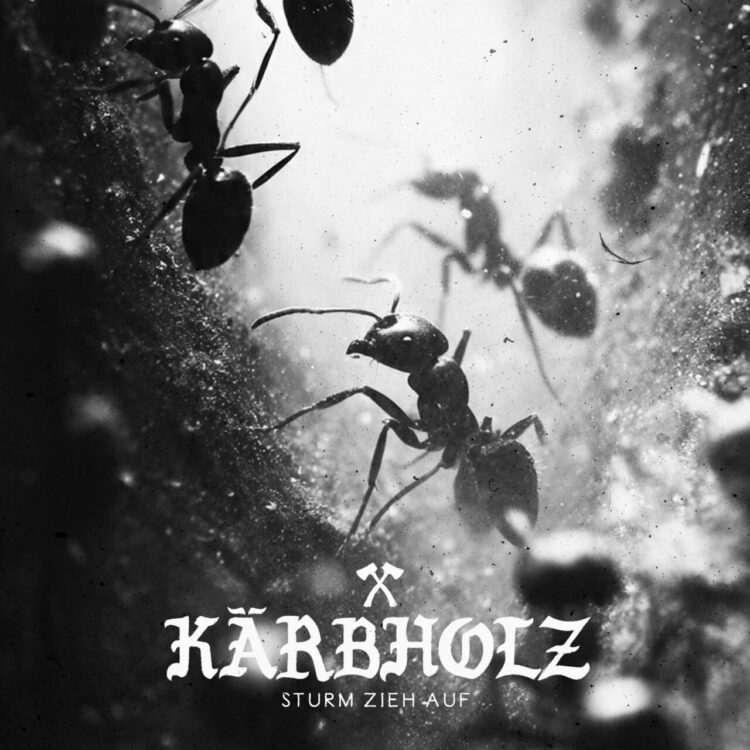 KÄRBHOLZ: STURM ZIEH AUF