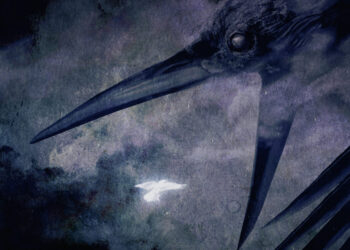 INSOMNIUM: NETHERWORLDS