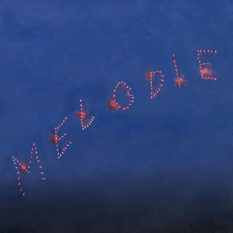 SLOW PULP: MELODIE