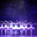 Das United Classic Ballet präsentiert „Schwanensee“